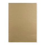 450x324 mm (C3) Manila Envelope