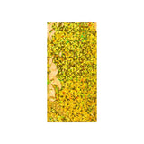 Holografische foliezakken